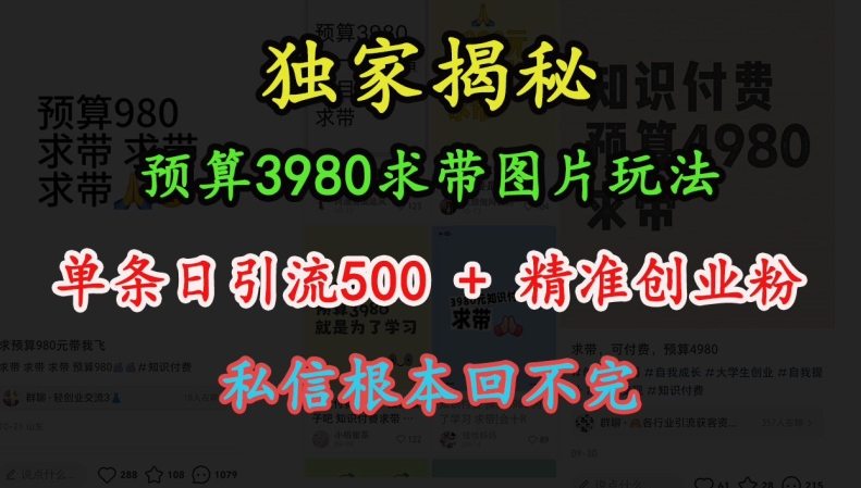 预算3980求带 图片玩法，单条日引流500+精准创业粉，私信根本回不完-瀚洪创业网