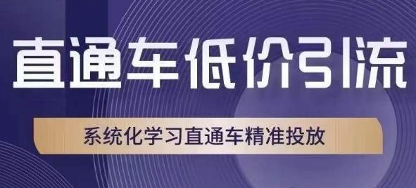 直通车低价引流课，系统化学习直通车精准投放-瀚洪创业网