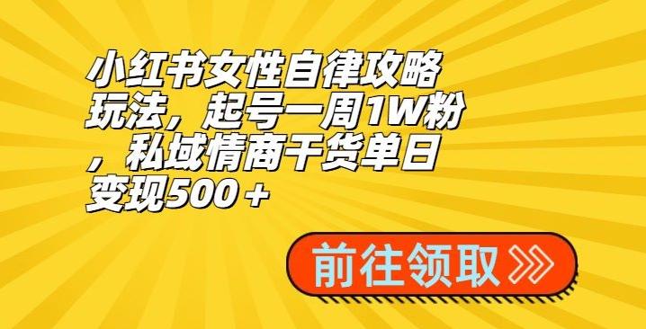 小红书女性自律攻略玩法，起号一周1W粉，私域情商干货单日变现500＋-瀚洪创业网