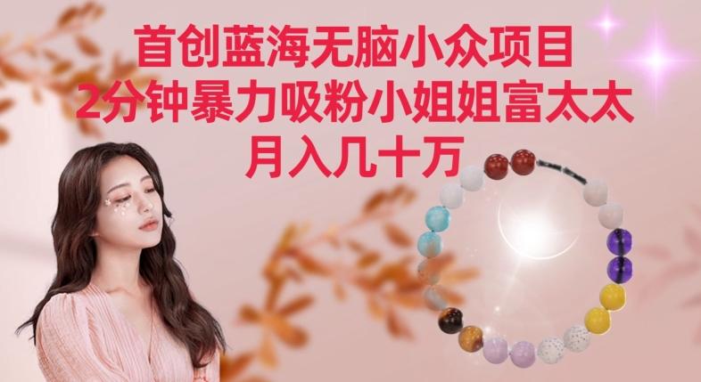 首创蓝海无脑小众项目，2分钟暴力吸粉小姐姐富太太，月入几十万【揭秘】-瀚洪创业网