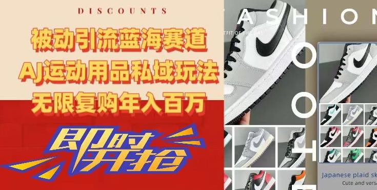 被动引流蓝海赛道，AJ运动用品私域玩法，无限复购年入百万【揭秘】-瀚洪创业网