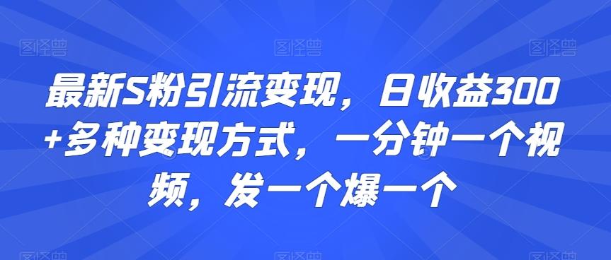 最新S粉引流变现，日收益300+多种变现方式，一分钟一个视频，发一个爆一个【揭秘】-瀚洪创业网