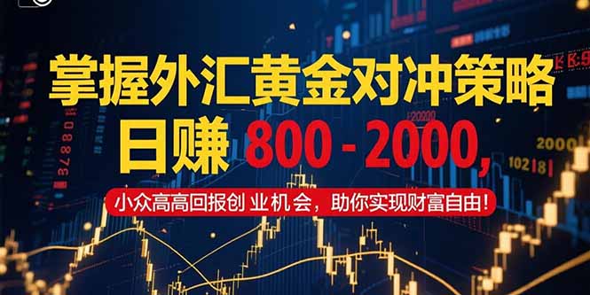 掌握外汇黄金对冲策略，日赚 800 - 2000，小众高回报创业机会，助你实...-瀚洪创业网