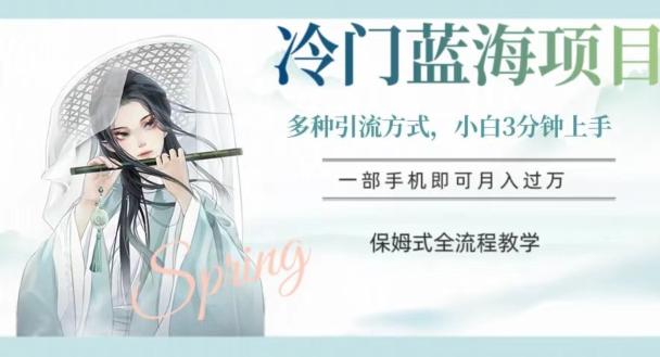 冷门蓝海项目，操作简单，小白3分钟上手，多种引流方式，保姆式全流程教学【揭秘】-瀚洪创业网
