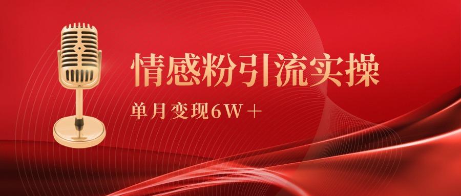 (9473期)单月变现6w+，情感粉引流变现实操课-瀚洪创业网