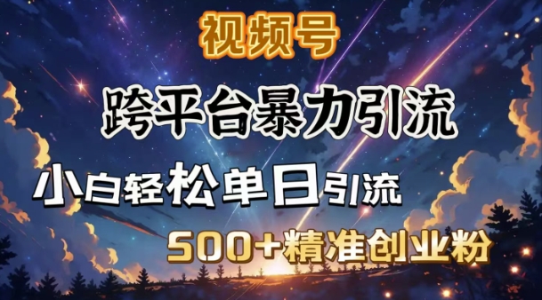 跨平台暴力引流，私域完美闭环，日引500+精准创业粉-瀚洪创业网