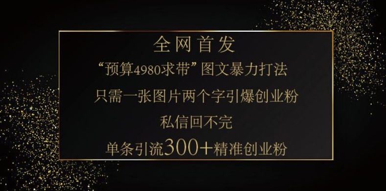 小红书神奇图片引流法，只需一张图，就能单条笔记凭借此方法，轻松引流 300 + 精准创业粉-瀚洪创业网