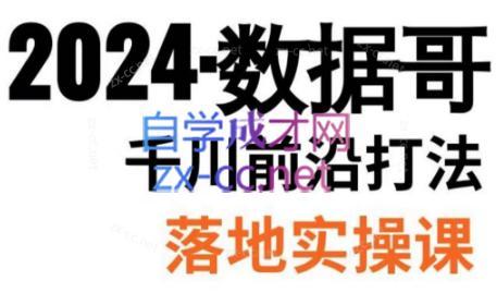 数据哥·2024年千川前沿打法落地实操课-瀚洪创业网