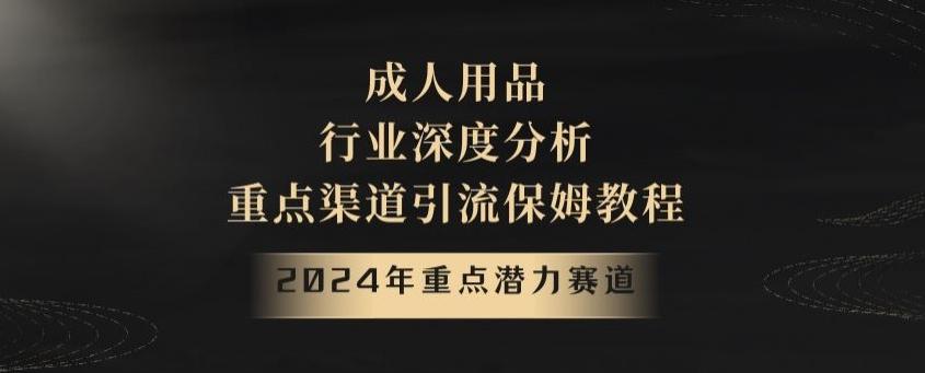 2024年重点潜力赛道，成人用品行业深度分析，重点渠道引流保姆教程【揭秘】-瀚洪创业网