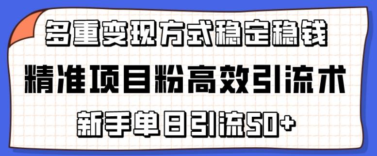 精准项目粉高效引流术，新手单日引流50+，多重变现方式稳定赚钱【揭秘】-瀚洪创业网