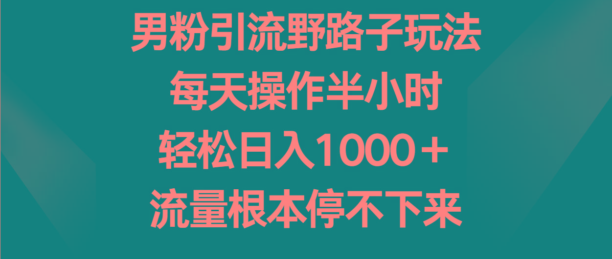 男粉引流野路子玩法，每天操作半小时轻松日入1000＋，流量根本停不下来-瀚洪创业网