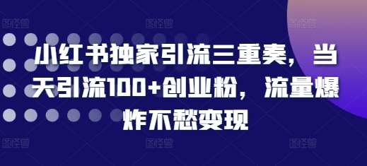 小红书独家引流三重奏，当天引流100+创业粉，流量爆炸不愁变现【揭秘】-瀚洪创业网