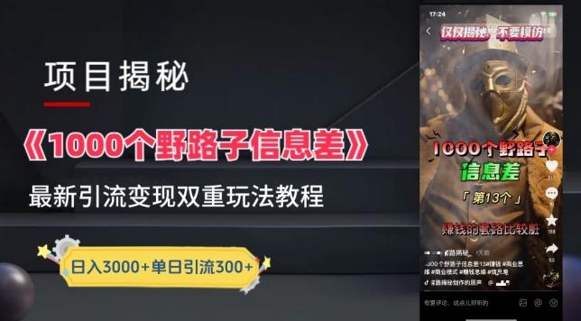 一千个野路子信息差最新玩法教程-变现+引流的玩法具体拆解【揭秘】-瀚洪创业网