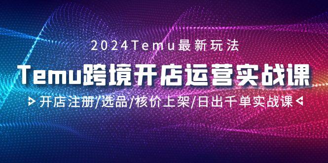 2024Temu跨境开店运营实战课，开店注册/选品/核价上架/日出千单实战课-瀚洪创业网