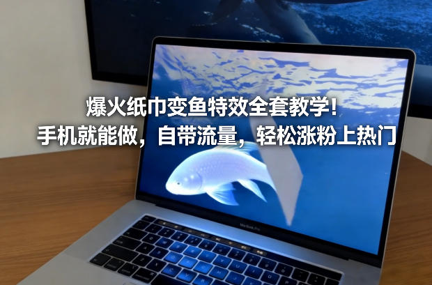 爆火纸巾变鱼特效全套教学！手机就能做，自带流量，轻松涨粉上热门-瀚洪创业网