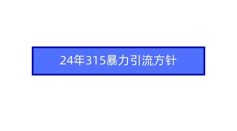 (9398期)2024年315暴力引流方针-瀚洪创业网