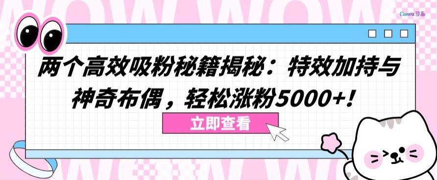 两个高效吸粉秘籍揭秘：特效加持与神奇布偶，轻松涨粉5000+【揭秘】-瀚洪创业网