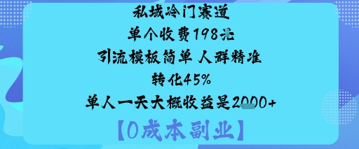 私域冷门赛道:单个收费198米引流模板简单人群精准转化45%单人一天大概收益是1k+-瀚洪创业网
