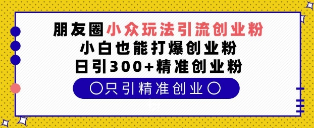 朋友圈小众玩法引流创业粉，小白也能打爆创业粉，日引300+精准创业粉【揭秘】-瀚洪创业网