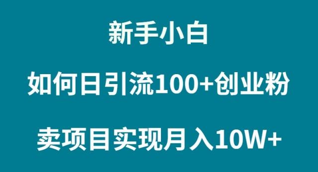 (9556期)新手小白如何通过卖项目实现月入10W+-瀚洪创业网