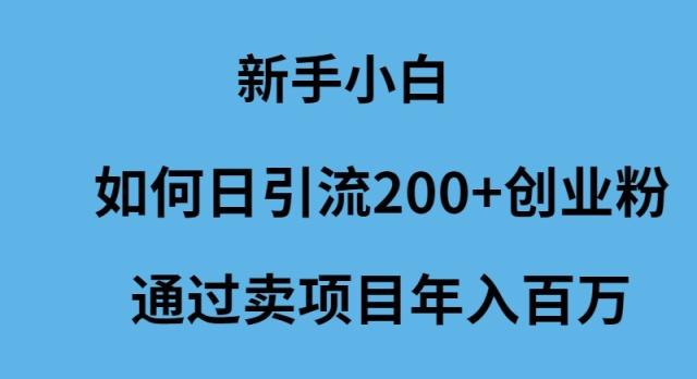 (9668期)新手小白如何日引流200+创业粉通过卖项目年入百万-瀚洪创业网