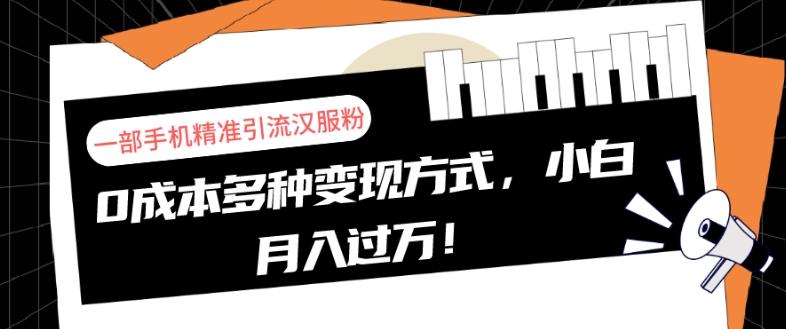 一部手机精准引流汉服粉，0成本多种变现方式，小白月入过万！-瀚洪创业网