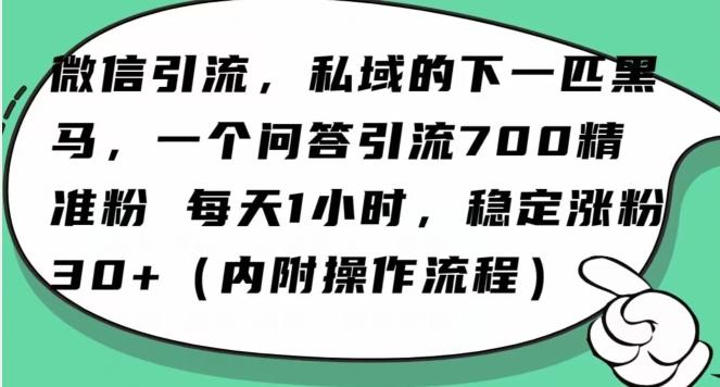 怎么搞精准创业粉？微信新赛道，每天一小时，利用Ai一个问答日引100精准粉-瀚洪创业网