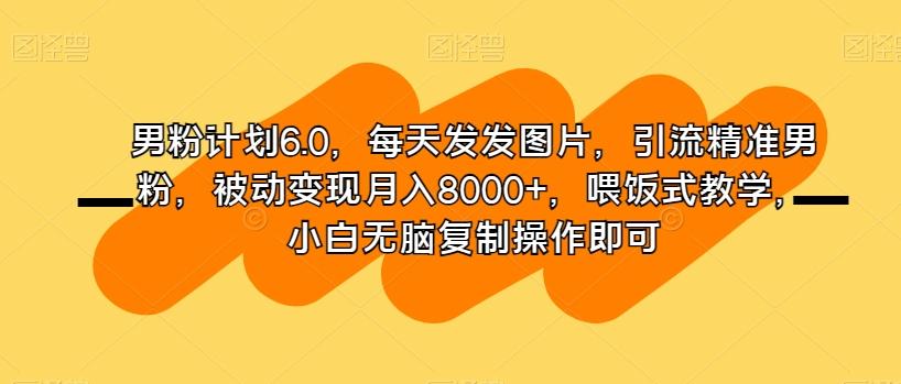 男粉计划6.0，每天发发图片，引流精准男粉，被动变现月入8000+，喂饭式教学，小白无脑复制操作即可-瀚洪创业网