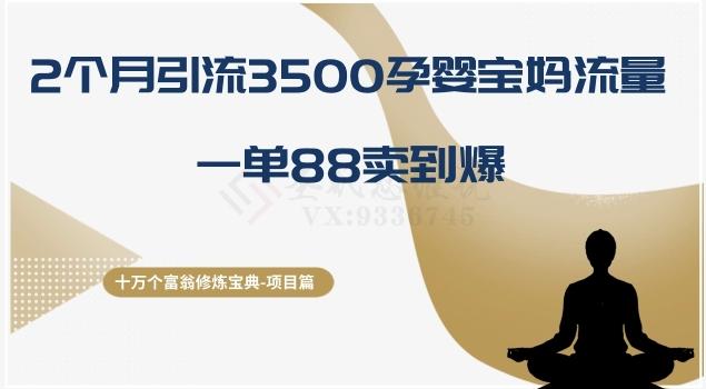 十万个富翁修炼宝典之13.2个月引流3500孕婴宝妈流量，一单88卖到爆-瀚洪创业网