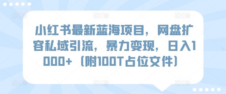 小红书最新蓝海项目，网盘扩容私域引流，暴力变现，日入1000+(附100T占位文件)【揭秘】-瀚洪创业网