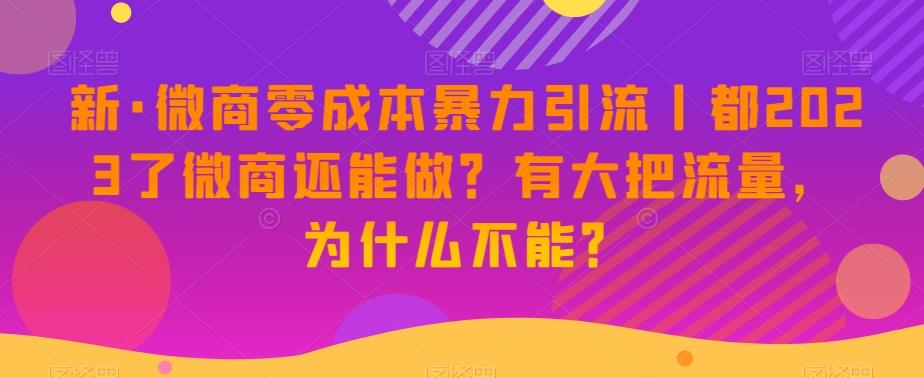 新·微商零成本暴力引流丨都2023了微商还能做？有大把流量，为什么不能？-瀚洪创业网