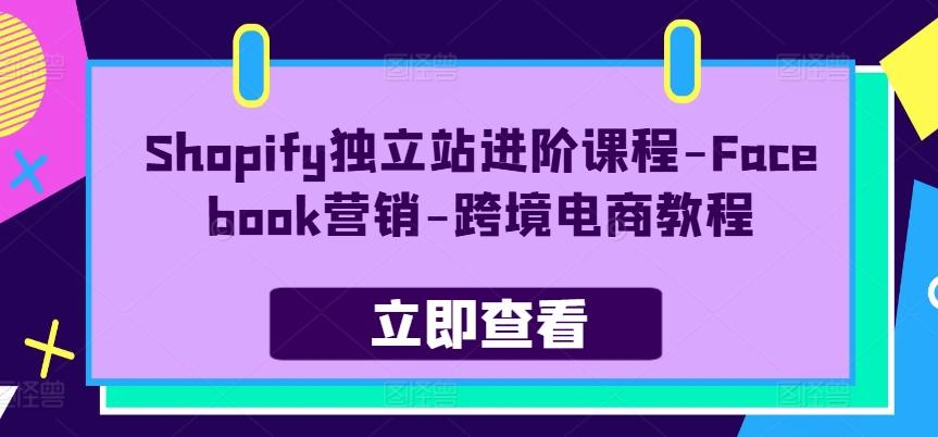 Shopify独立站进阶课程-Facebook营销-跨境电商教程-瀚洪创业网