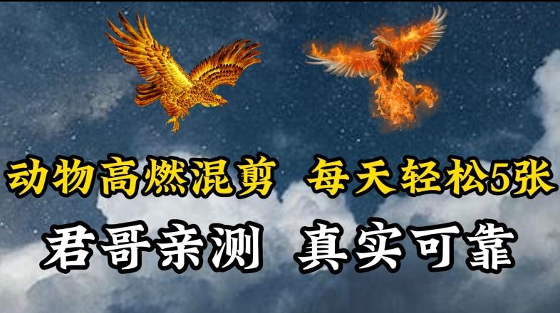 动物超燃混剪，每天轻松5张，剪辑简单大家爱看【揭秘】-瀚洪创业网
