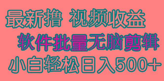 (9569期)发视频撸收益，软件无脑批量剪辑，第一天发第二天就有钱-瀚洪创业网
