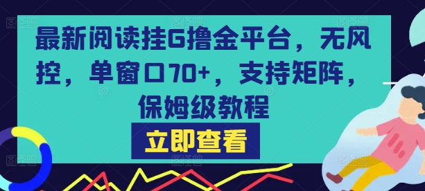 最新阅读挂G撸金平台，无风控，单窗口70+，支持矩阵，保姆级教程【揭秘】-瀚洪创业网