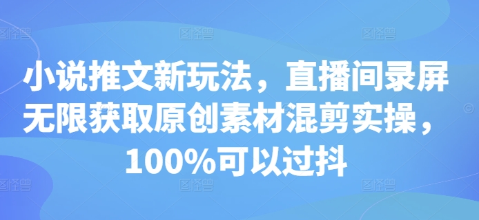 小说推文新玩法，直播间录屏无限获取原创素材混剪实操，100%可以过抖-瀚洪创业网