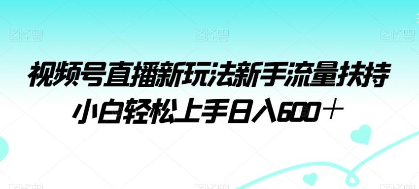 视频号直播新玩法新手流量扶持小白轻松上手日入600＋【揭秘】-瀚洪创业网