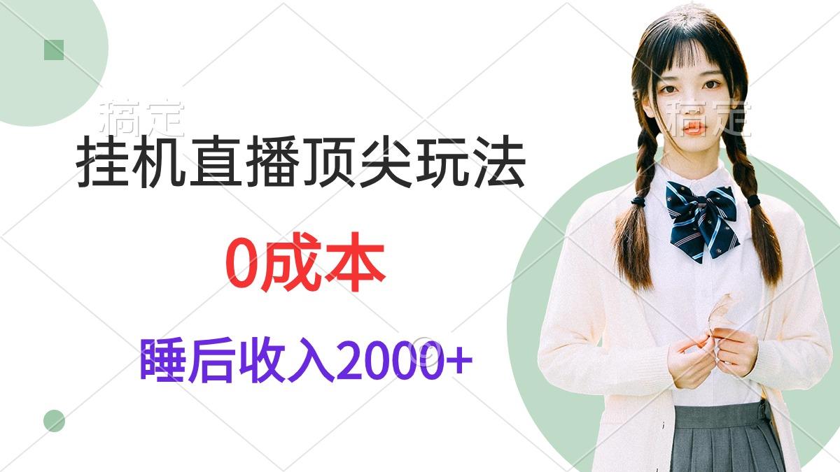 (9715期)挂机直播顶尖玩法，睡后日收入2000+、0成本，视频教学-瀚洪创业网