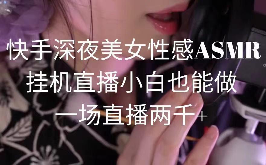 快手深夜美女性感ASMR挂机直播，小白也能做，一场直播两千+-瀚洪创业网