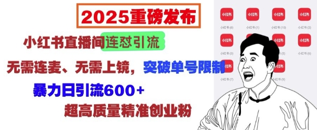 2025重磅发布：小红书直播间连怼引流，无需连麦、无需上镜，突破单号限制，暴力日引流600+-瀚洪创业网
