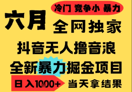 25年6月高爆抖音无人直播最新撸音浪掘金项目，小白可做，无脑日入1k+，门槛低可批量矩阵【揭秘】-瀚洪创业网