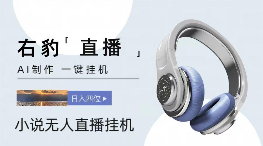 右豹小说无人直播挂机吸金项目，简单易行收益稳定， 月入1000+-瀚洪创业网