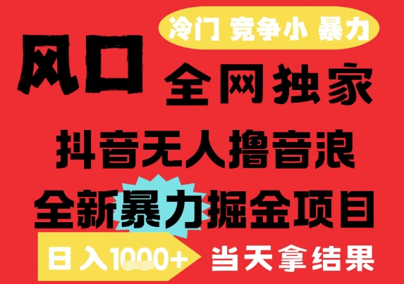 25年6月高爆抖音无人直播最新撸音浪掘金项目，解放双手小白可做，无脑日入1k+，门槛低【揭秘】-瀚洪创业网