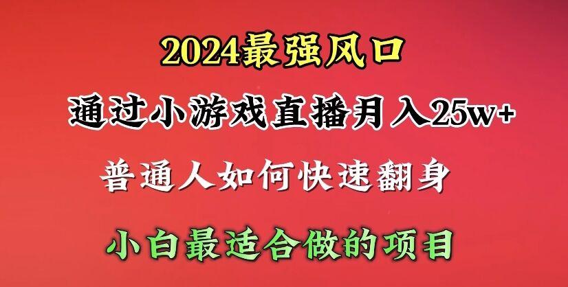 (10020期)2024年最强风口，通过小游戏直播月入25w+单日收益5000+小白最适合做的项目-瀚洪创业网