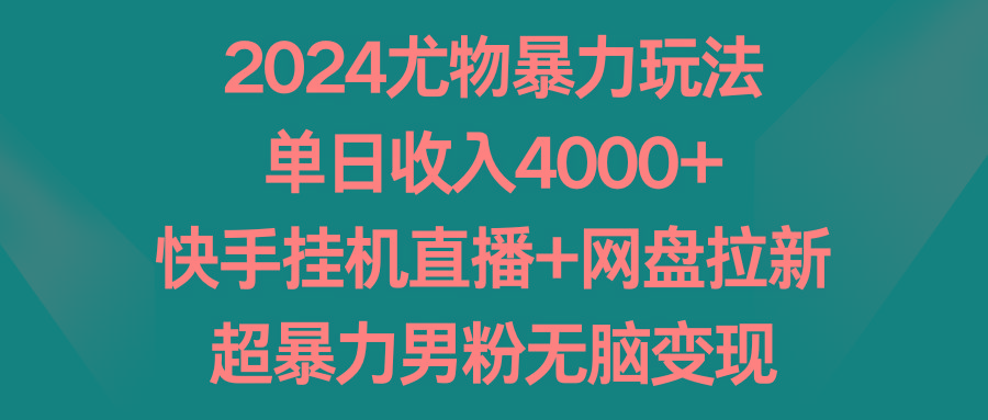 2024尤物暴力玩法 单日收入4000+快手挂机直播+网盘拉新 超暴力男粉无脑变现-瀚洪创业网