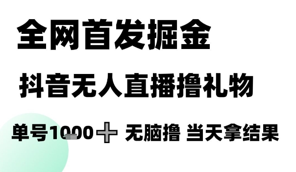 全网首发掘金抖音无人直播撸礼物，单号1k +无脑撸，当天拿结果【揭秘】-瀚洪创业网