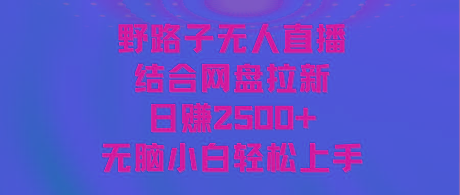 无人直播野路子结合网盘拉新，日赚2500+多平台变现，小白无脑轻松上手操作-瀚洪创业网