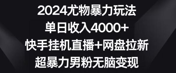 2024尤物暴力玩法，单日收入4000+，快手挂机直播+网盘拉新，超暴力男粉无脑变现【揭秘】-瀚洪创业网