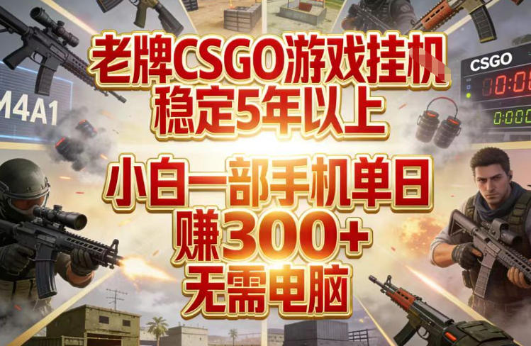 老牌CSGO游戏挂G，稳定5年以上，小白一部手机单日賺3张+，无需电脑【揭秘】-瀚洪创业网