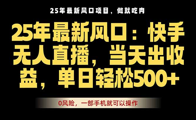 25年最新无人直播玩法，当天秒出单，一部手机就可操作-瀚洪创业网